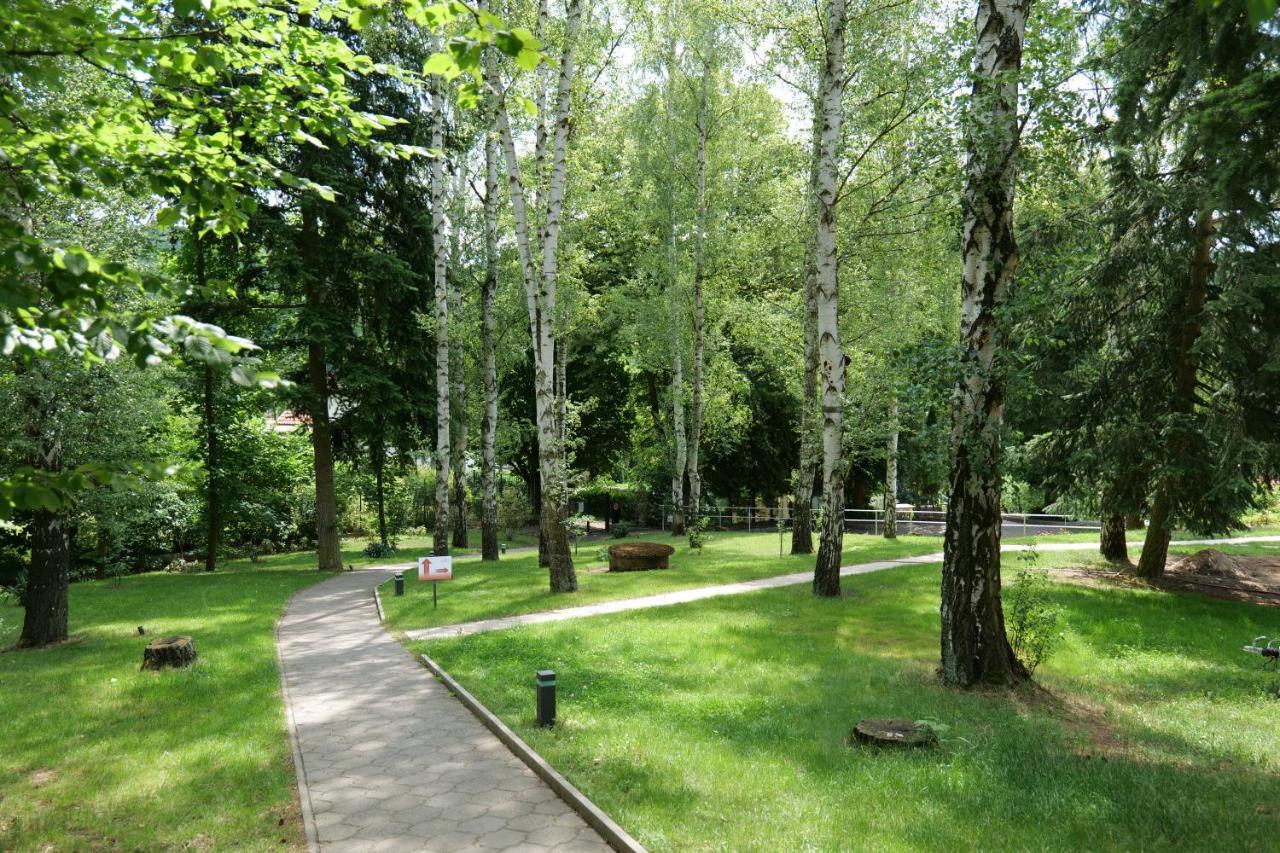 Penzion Harmony Javornik Ctyrkoly Exterior foto